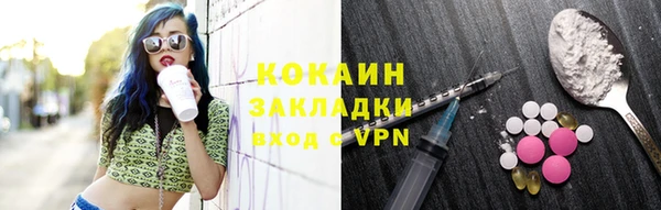 молекула духа Гусев