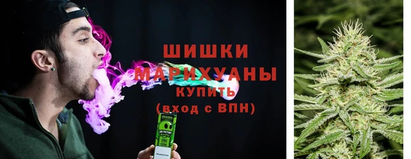 молекула духа Гусев