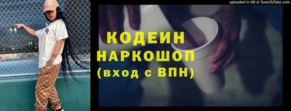 молекула духа Гусев