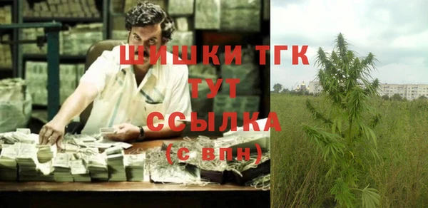 молекула духа Гусев