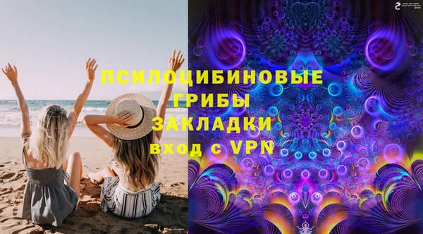 jwh Гусь-Хрустальный