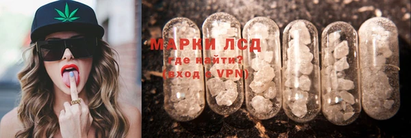 дживик Шали