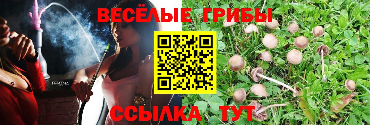 Галлюциногенные грибы Psilocybe Назарово