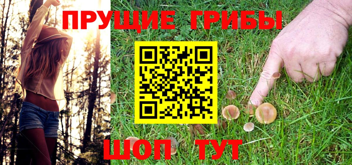 Псилоцибиновые грибы Magic Shrooms  Псилоцибиновые грибы Psilocybine cubensis  Назарово 