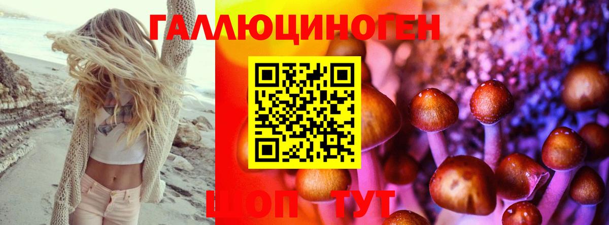 Псилоцибиновые грибы Magic Shrooms  Псилоцибиновые грибы GOLDEN TEACHER  Назарово  Вход с VPN 